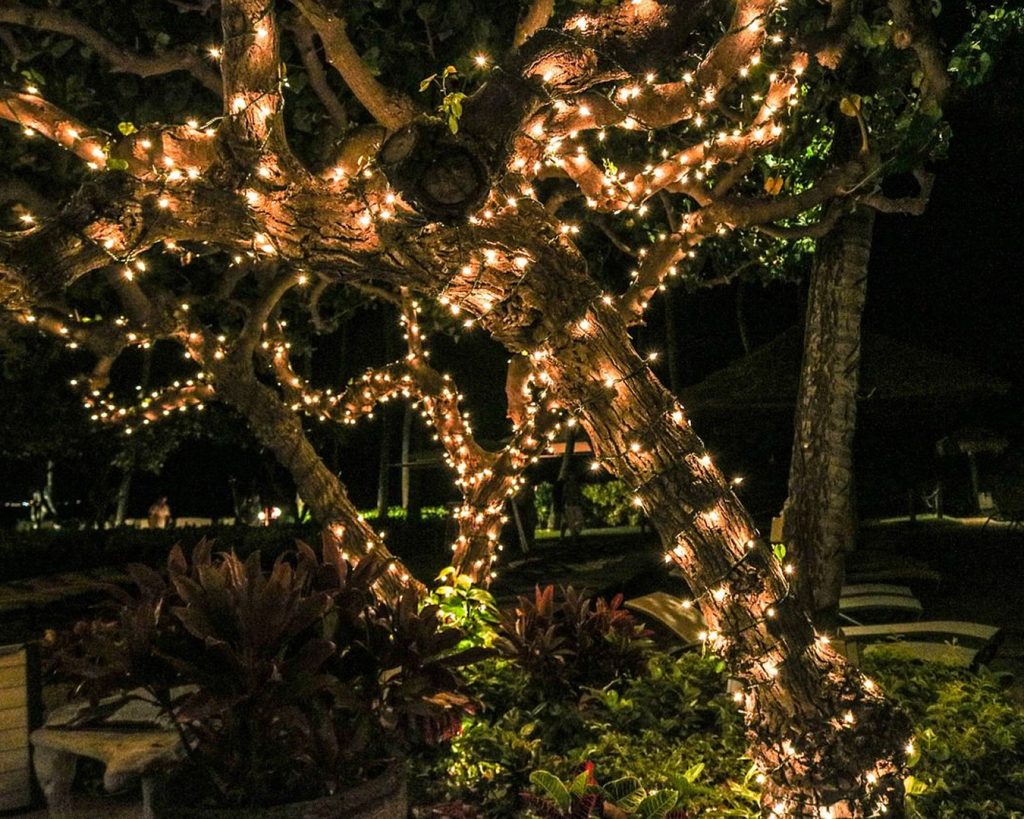 Christmas Light Installation in Utah 01-1