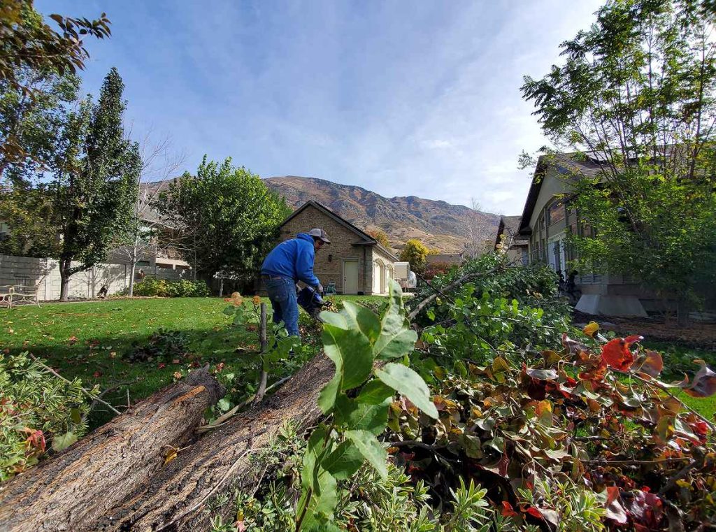 Marbella Landscaping Maintenance Services 001_11zon