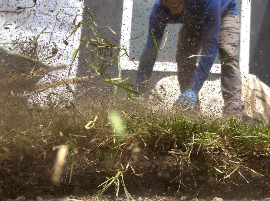 Marbella Landscaping Maintenance Services 00_11zon