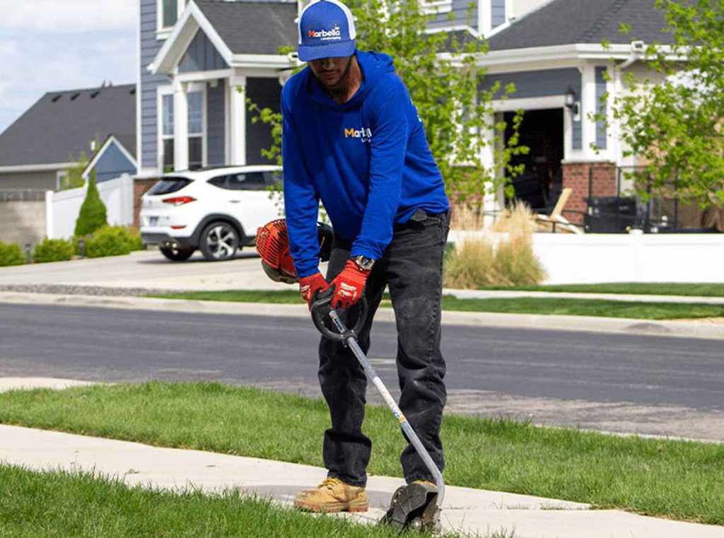 Marbella Landscaping Maintenance Services 2_11zon