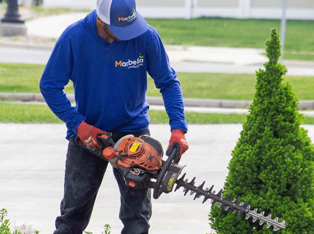 Marbella Landscaping Maintenance Services 5_11zon